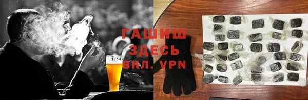 индика Михайловск