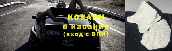 индика Михайловск