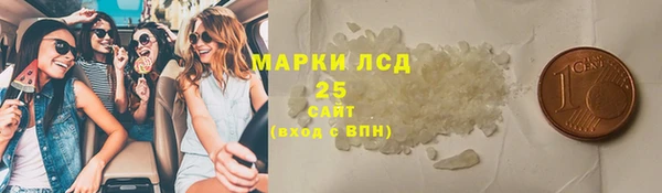 индика Михайловск
