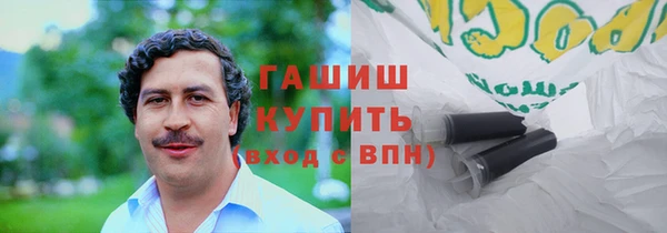 индика Михайловск