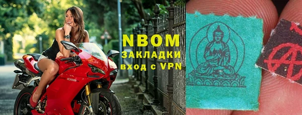 индика Михайловск