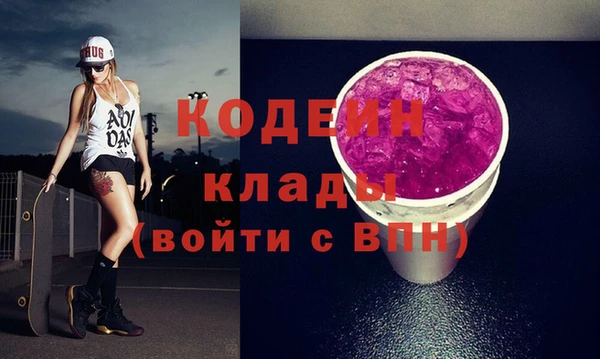 индика Михайловск