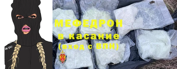 индика Михайловск