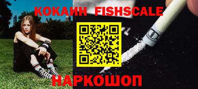 индика Гусев
