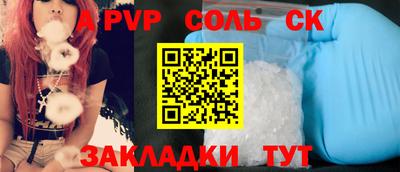 индика Гусев