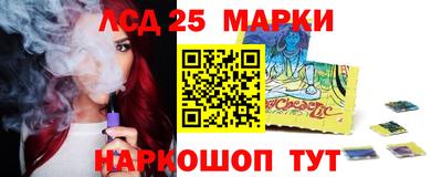 индика Гусев