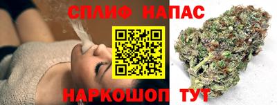 индика Гусев