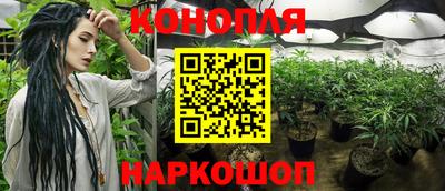 индика Гусев