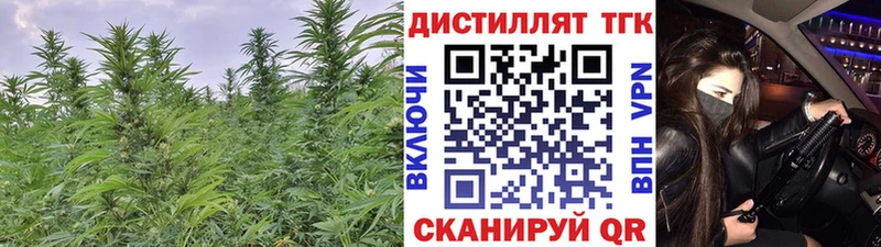как найти закладки Нефтекумск Дистиллят ТГК вейп