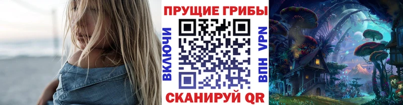 наркота  Нефтекумск  Псилоцибиновые грибы Magic Shrooms 