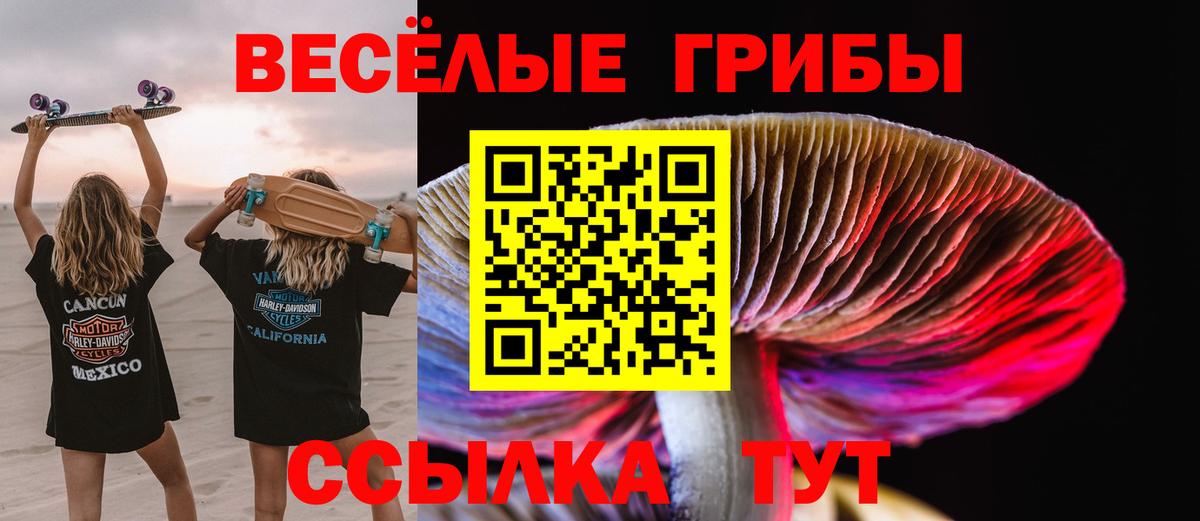 Галлюциногенные грибы Cubensis Нефтекумск