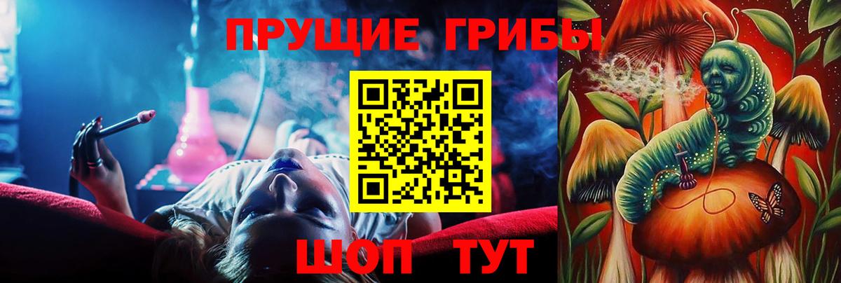 Нефтекумск  Псилоцибиновые грибы прущие грибы  Вход с VPN 